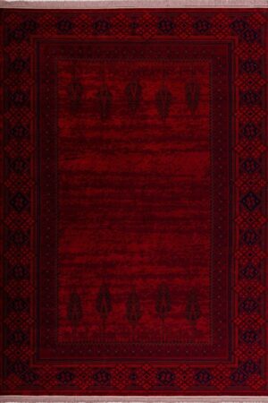 Celine Stunning and Nice Red Nomadic rug